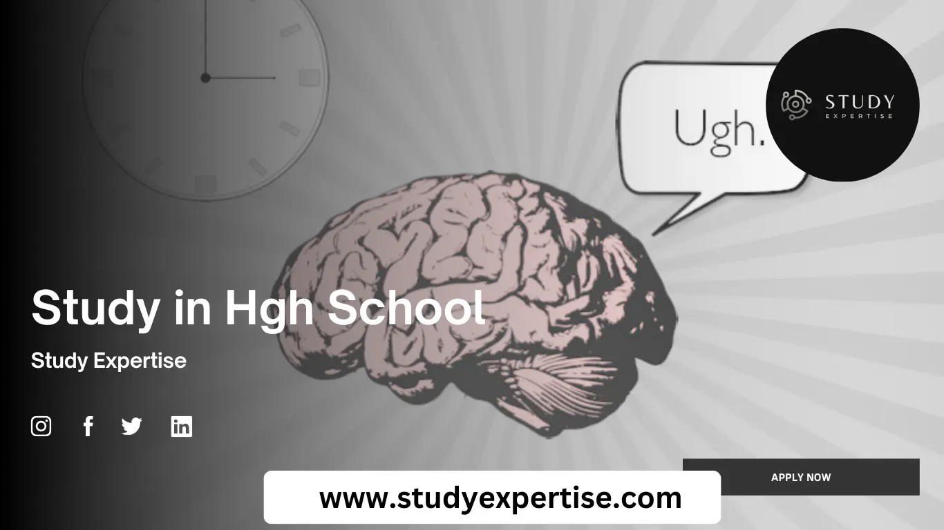 Do you study in high school?